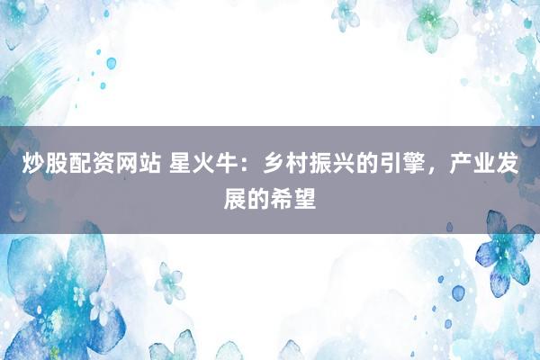 炒股配资网站 星火牛：乡村振兴的引擎，产业发展的希望