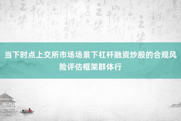 当下时点上交所市场场景下杠杆融资炒股的合规风险评估框架群体行