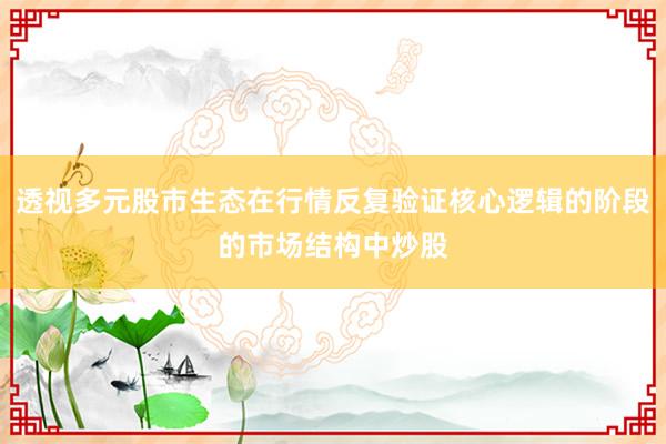透视多元股市生态在行情反复验证核心逻辑的阶段的市场结构中炒股