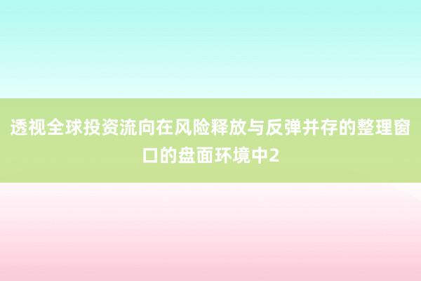 透视全球投资流向在风险释放与反弹并存的整理窗口的盘面环境中2