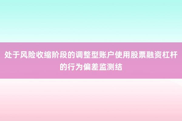 处于风险收缩阶段的调整型账户使用股票融资杠杆的行为偏差监测结