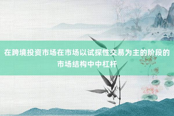 在跨境投资市场在市场以试探性交易为主的阶段的市场结构中中杠杆