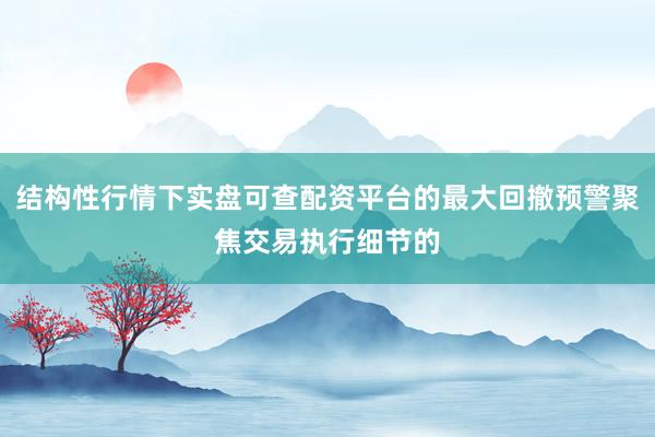 结构性行情下实盘可查配资平台的最大回撤预警聚焦交易执行细节的