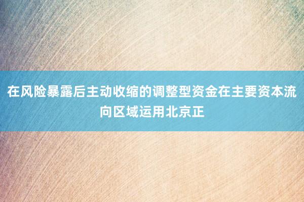 在风险暴露后主动收缩的调整型资金在主要资本流向区域运用北京正