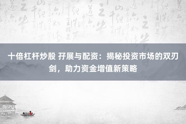 十倍杠杆炒股 孖展与配资：揭秘投资市场的双刃剑，助力资金增值新策略