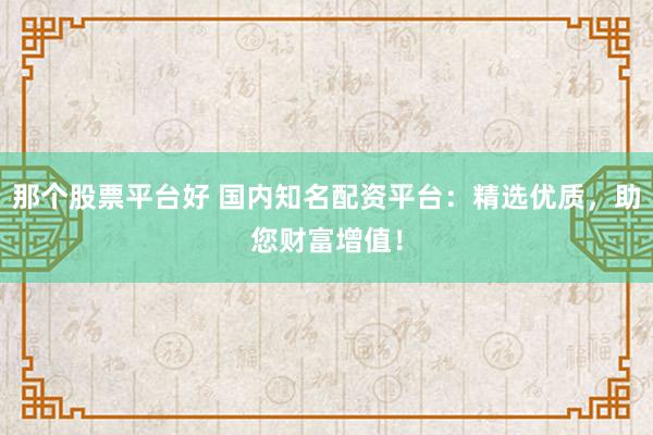 那个股票平台好 国内知名配资平台：精选优质，助您财富增值！