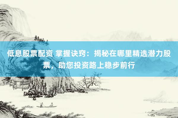 低息股票配资 掌握诀窍:揭秘在哪里精选潜力股票,助您投资路上稳步前行