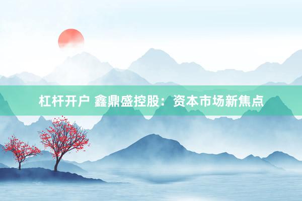 杠杆开户 鑫鼎盛控股：资本市场新焦点