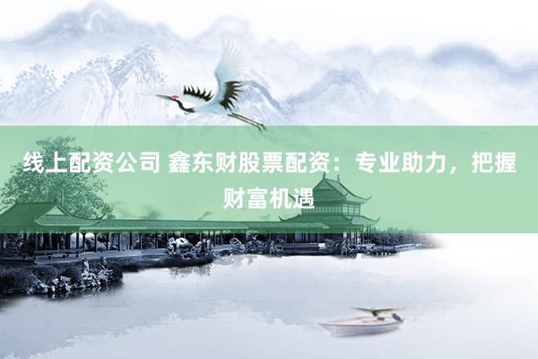 线上配资公司 鑫东财股票配资：专业助力，把握财富机遇