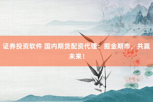 证券投资软件 国内期货配资代理：掘金期市，共赢未来！