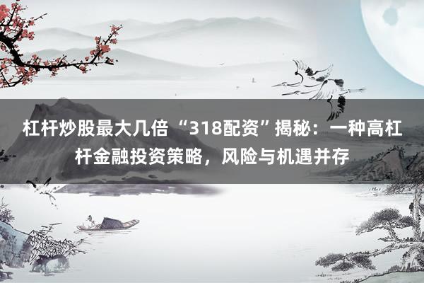 杠杆炒股最大几倍 “318配资”揭秘：一种高杠杆金融投资策略，风险与机遇并存